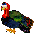 Happy Thanksgiving